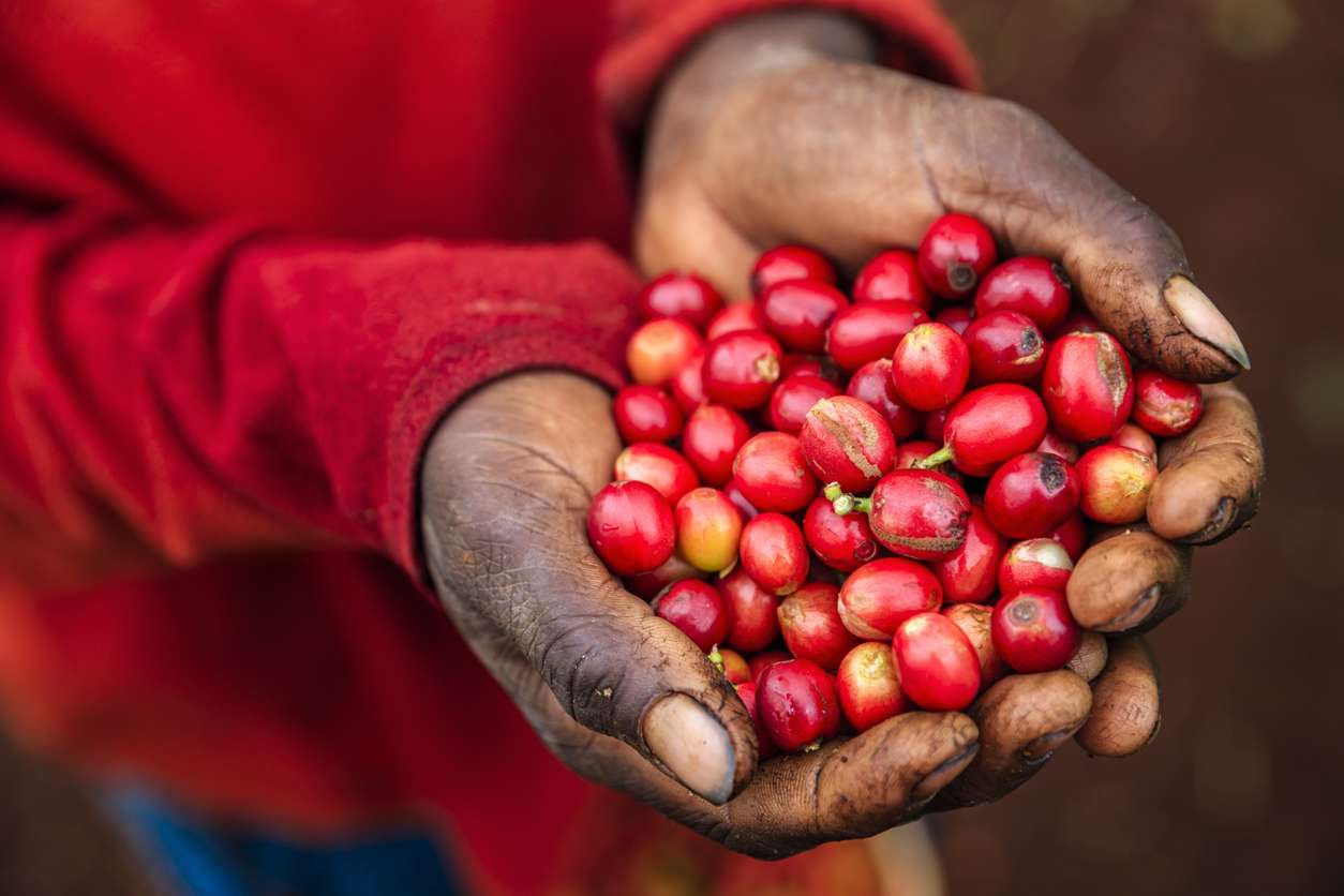 Happy International Coffee Day 2019!