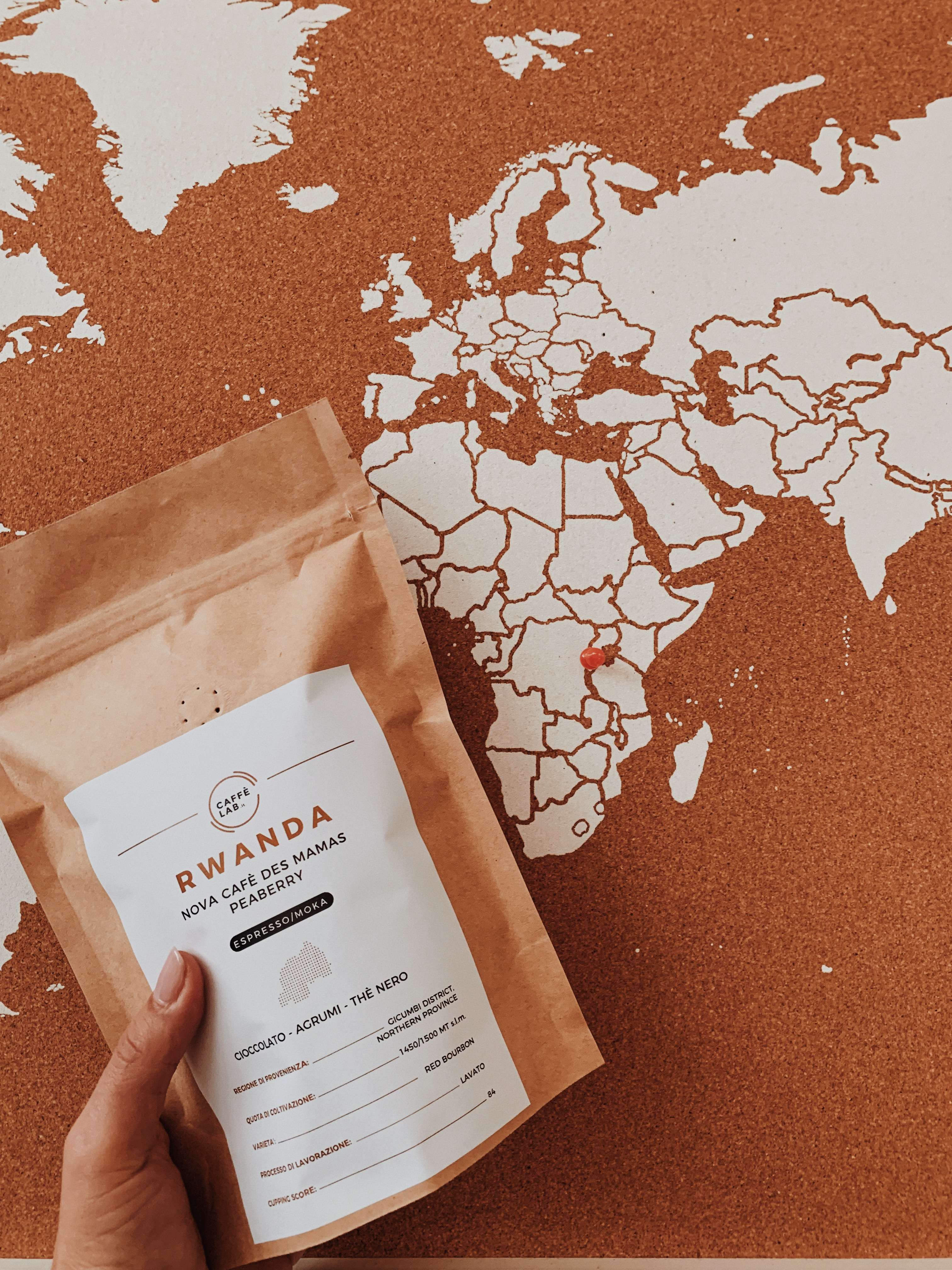 A coffee pearl grown by women in Rwanda: the Nova Cafè Des Mamas