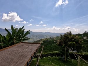 Journey to Colombia: discovering the coffee plantations