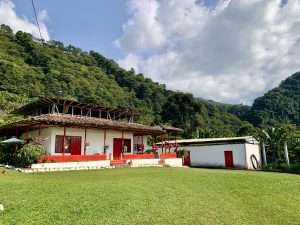 Journey to Colombia: discovering the coffee plantations