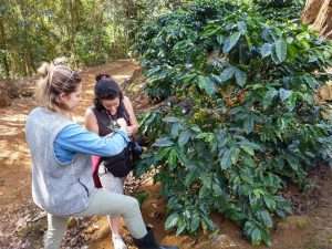 Video: Journey to the plantations of Espirito Santo, Brazil