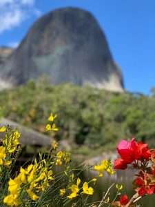 Video: Journey to the plantations of Espirito Santo, Brazil
