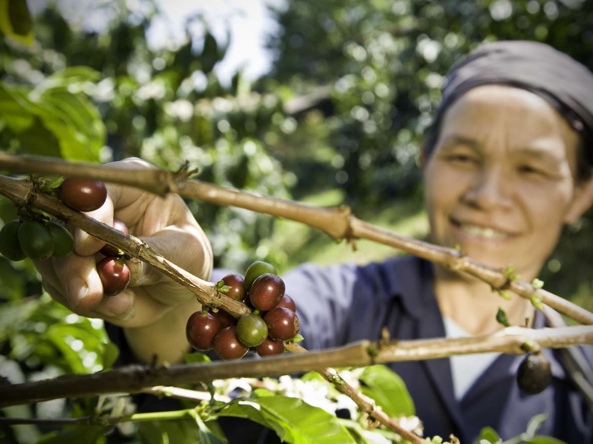 Fair trade, seine Geschichten und Kontroversen