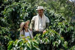 Permacultura: Come coltivare un caffè sostenibile
