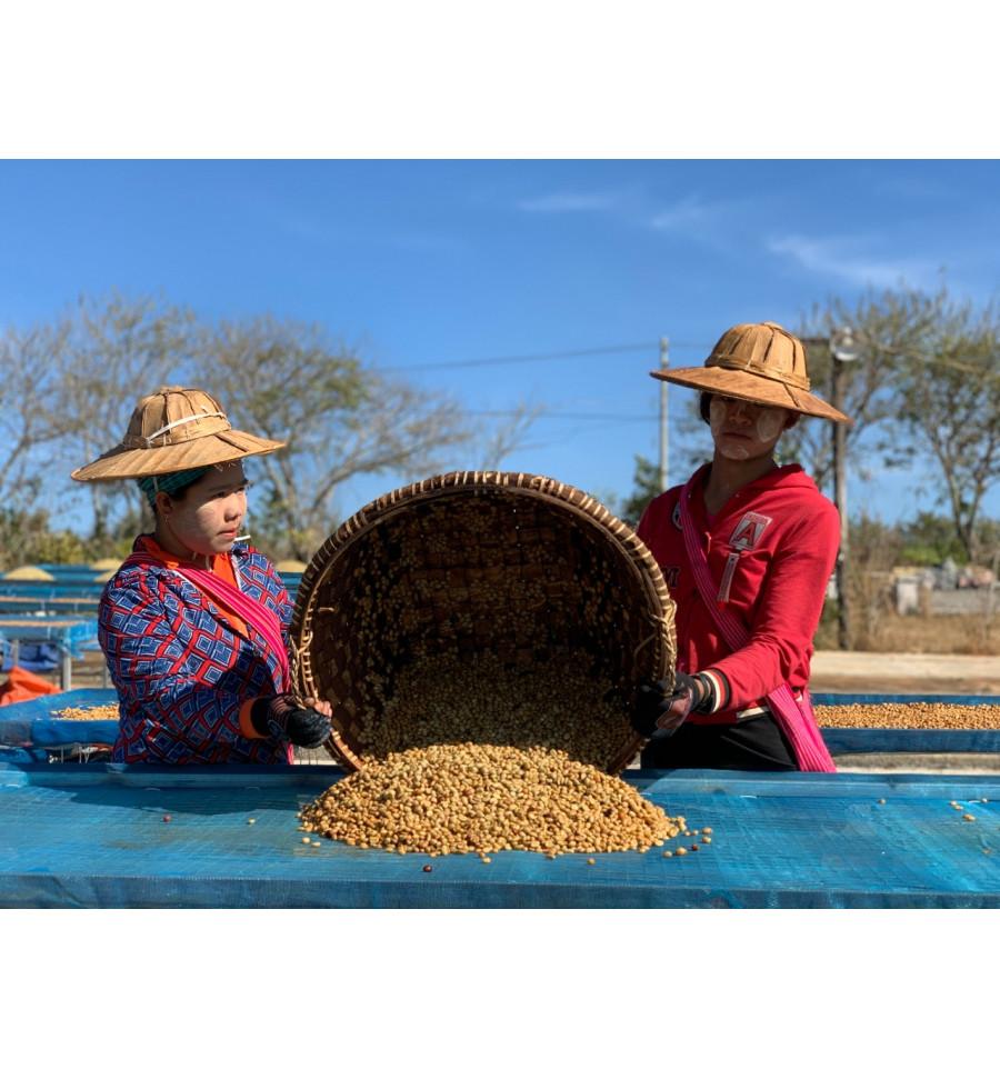 Myanmar specialty coffee