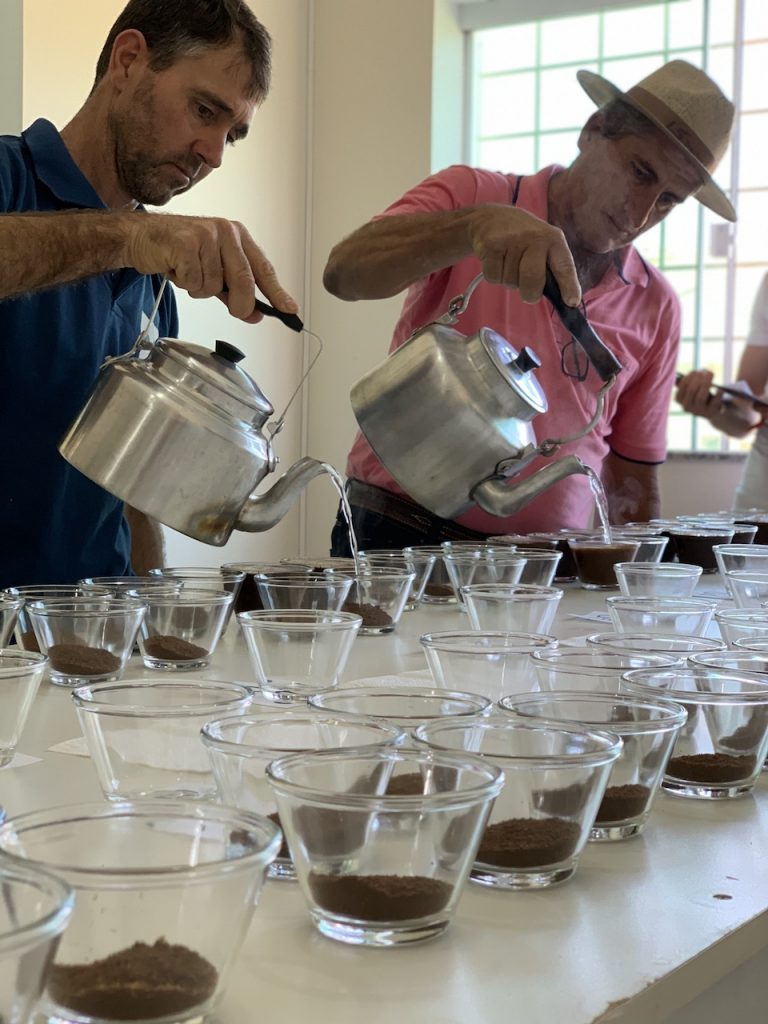 Coffee cupping preparation in Brazil