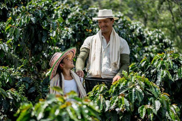 Organic & fair trade coffee