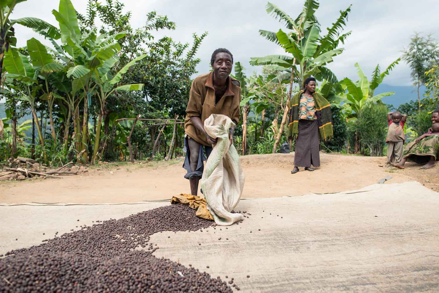 Discovering Coffees from Uganda