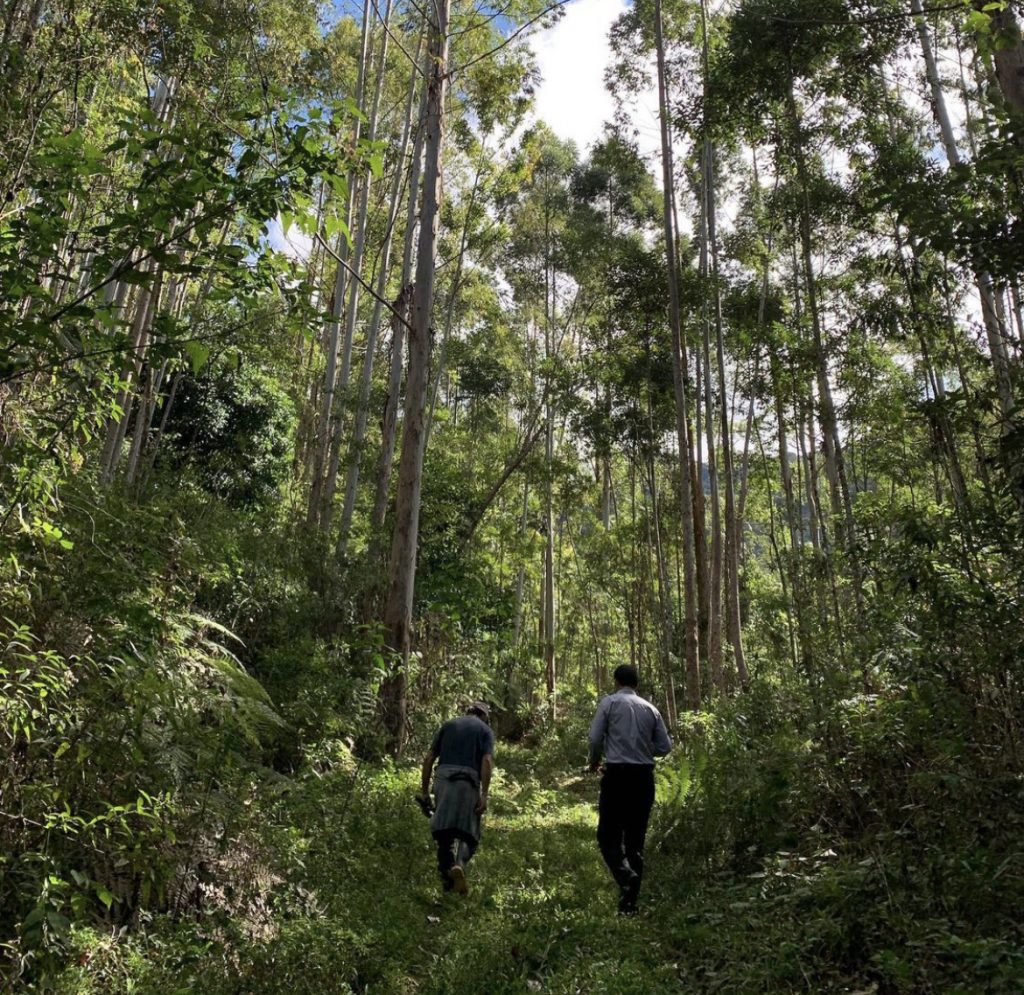 A trip to Brazil, looking for the best coffees!