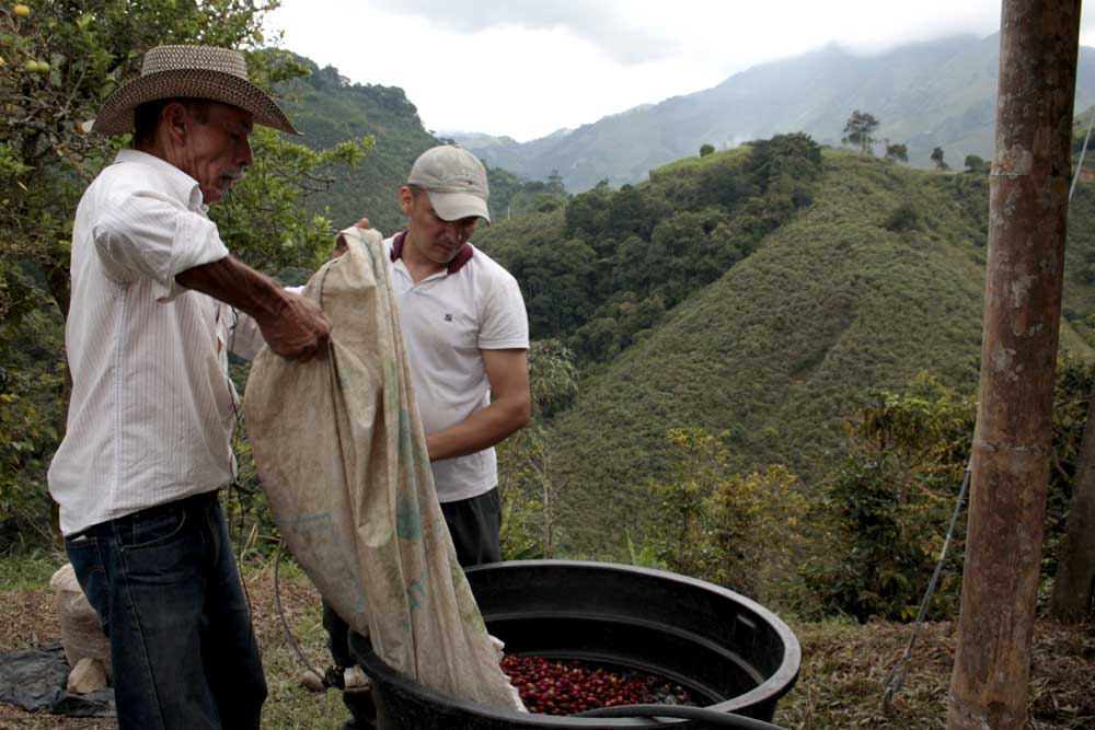 Colombian coffee: a true World Heritage!