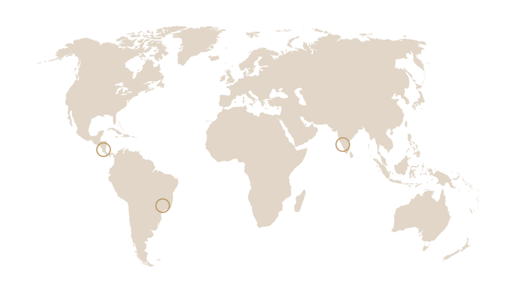 Map of the world with circles on Honduras, Brazil and India